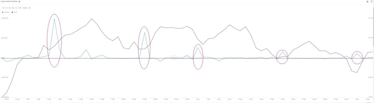 Bitcoin whale accumulation