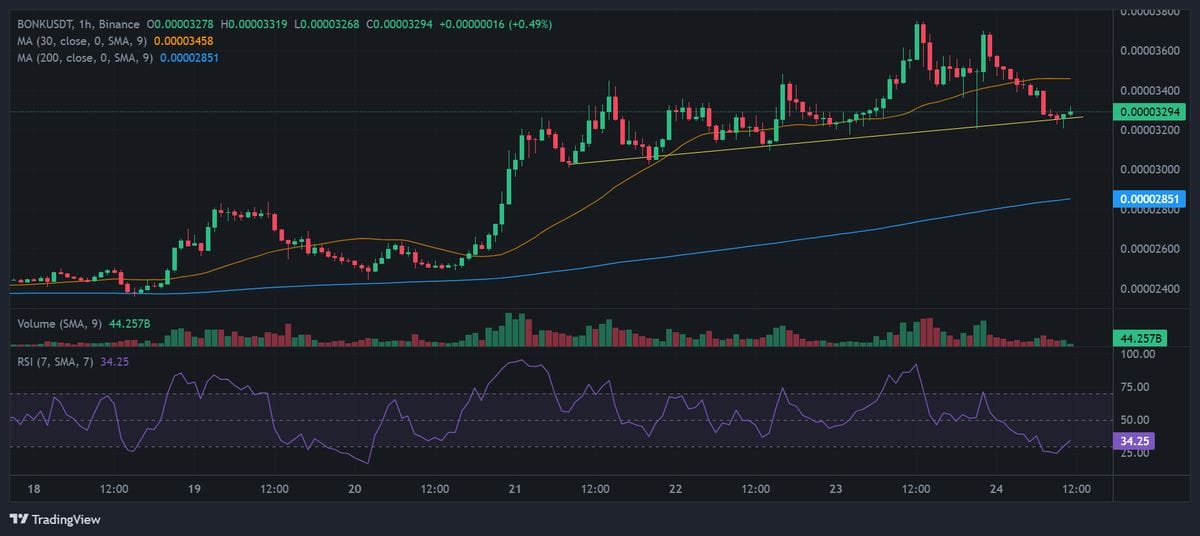 BONK price chart with technical analysis.  Source: Binance.