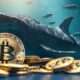 Blockchain Data: Bitcoin Whale Activity Surging