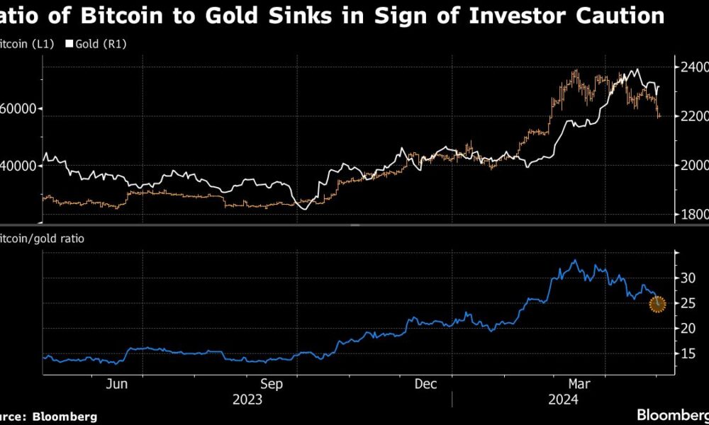 Bitcoin collapse triggers warning of 'future problems' for global markets