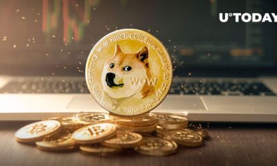 Dogecoin (DOGE) just beat Ethereum, Shiba Inu and others in 24 hours: details