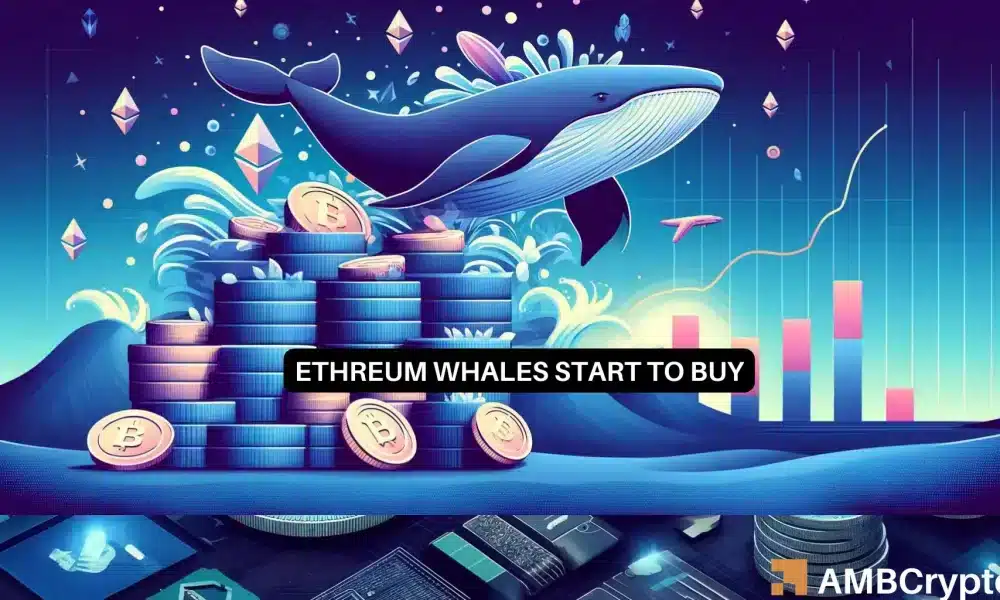 Ethereum Whale Hoards 15,000 ETH: Will This Finally Help Prices?