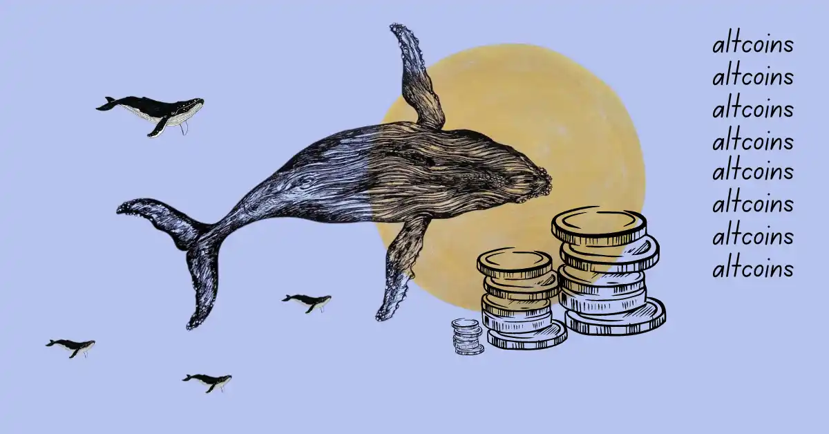 Major crypto whales are stacking these Altcoins