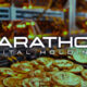 Marathon Digital boosts Bitcoin production by 21% YoY in April, defies halving challenges