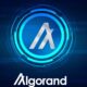 Post-Submission Steps for Algorand (ALGO) Change the Game Hackathon