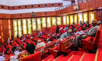 Nigerian Senate