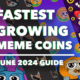 Fast-Growing Meme Coins: Why Brett, ButtChain, Slerf, Beercoin, and Byte Are Among the Best New Fast-Growing Crypto Coins