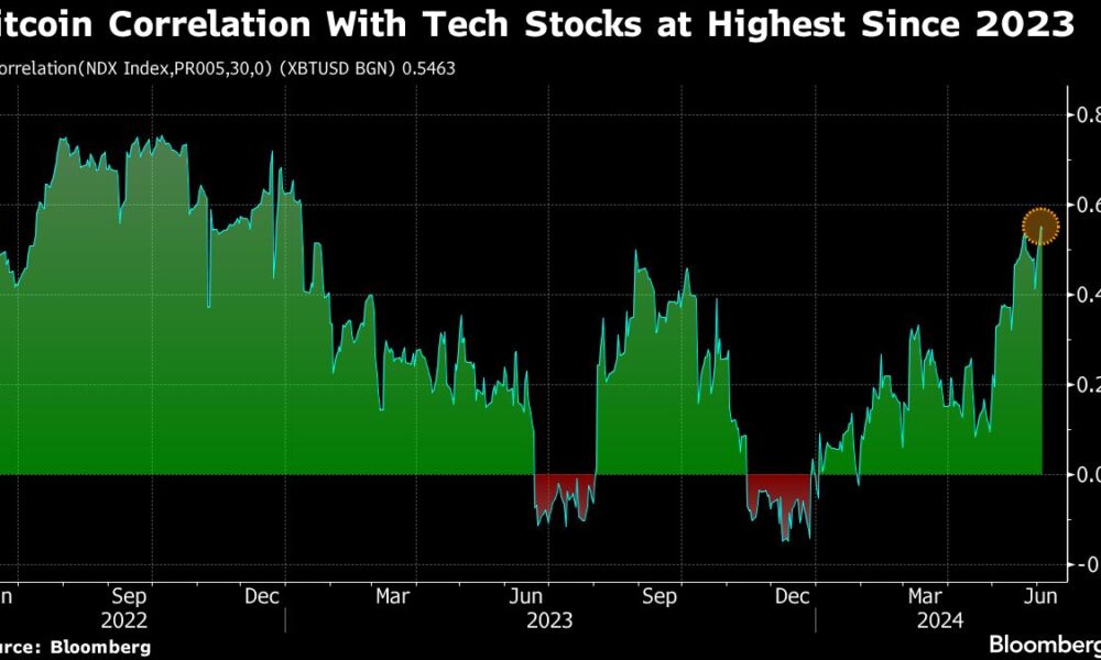 Bitcoin posts longest winning streak since March on rate cut bets