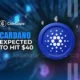 Cardano price is expected to reach $40 later according to crypto analysts