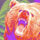 How Crypto Founders Are Preparing for the Next Bear Market – DL News
