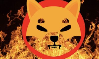 Shiba Inu Burn Rate Increases Over 68,000%, What Does This Mean for SHIB Price?