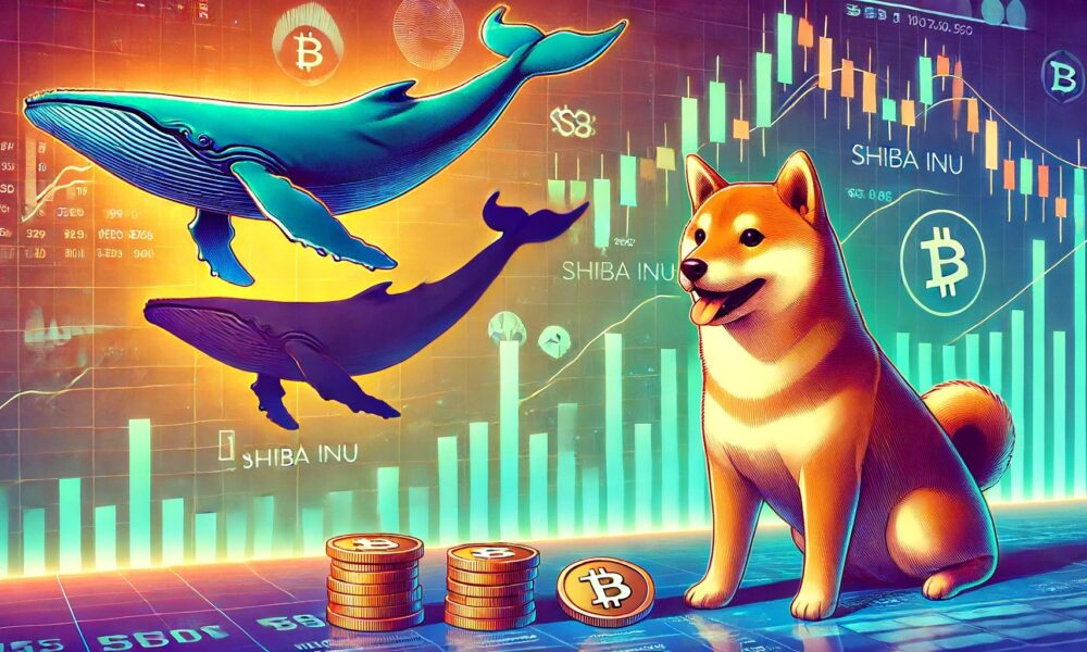 Shiba Inu mega-whales withdraw from trade: bullish?