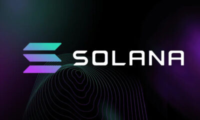 Solana Price Fights As Whales Move Over 2.5 Million Coins Between Wallets