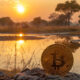 Zimbabwe launches study to map and regulate crypto industry