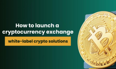 How to Launch a Cryptocurrency Exchange Using White-Label Cryptocurrency Solutions | nasscom