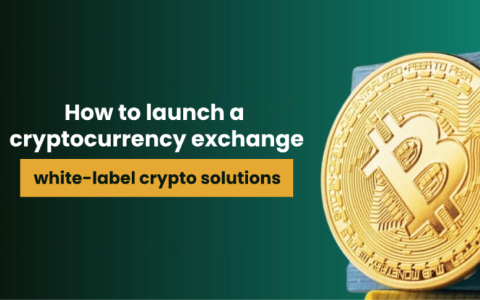 How to Launch a Cryptocurrency Exchange Using White-Label Cryptocurrency Solutions | nasscom