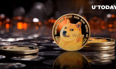 41.5 Million Dogecoin (DOGE) in 24 Hours as Heavy Liquidation Hits Cryptocurrencies