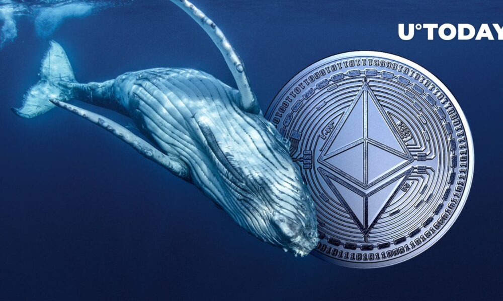 Giant Ethereum Whale on Brink of Liquidation as ETH Bloodbath Intensifies