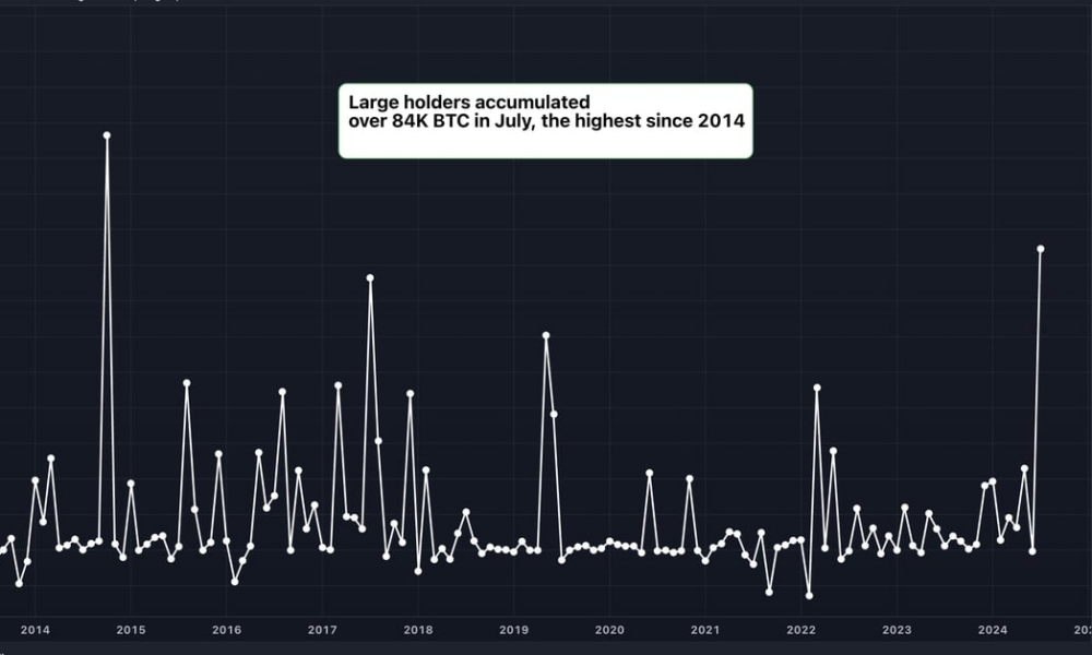 Large Bitcoin (BTC) Holders Added $5.4 Billion Worth of BTC in July, Data Shows