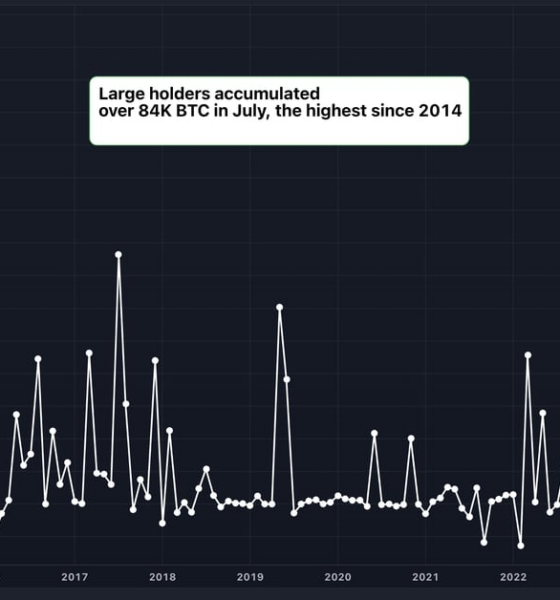 Large Bitcoin (BTC) Holders Added $5.4 Billion Worth of BTC in July, Data Shows